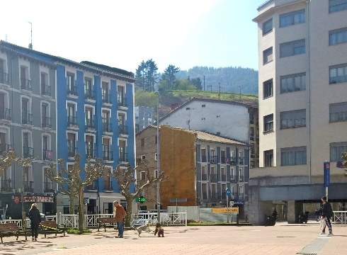 Udaltzainek 5.562 identifikazio egin eta 138 zigor ezarri dituzte alarma hasi zenetik