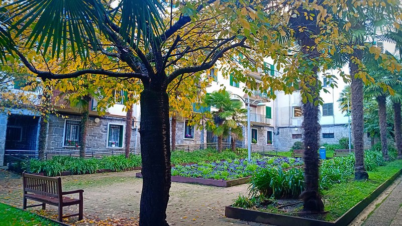 Udaltzaingoa | Abenduaren 10eko Eguneroko Txostena