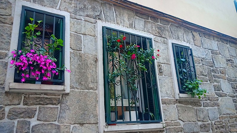 Udaltzaingoa | Abenduaren 16ko Eguneroko Txostena