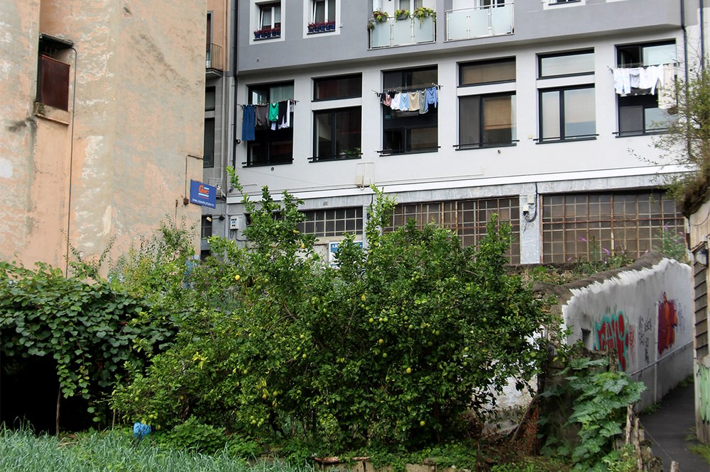 Udaltzaingoa | Irailaren 4ko Eguneroko Txostena