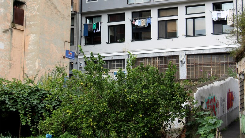 Udaltzaingoa | Irailaren 4ko Eguneroko Txostena