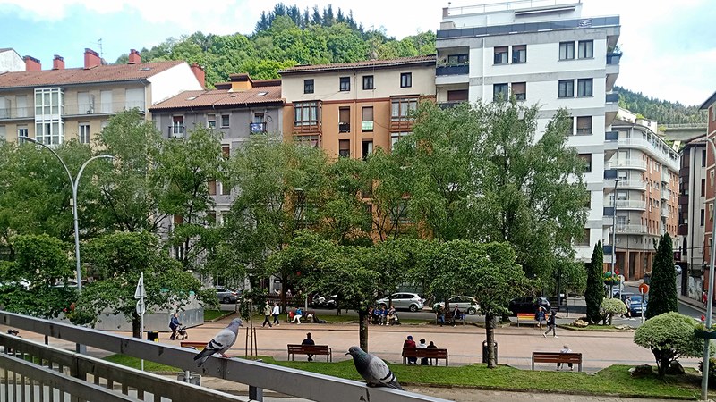 Udaltzaingoa | Maiatzaren 12ko Eguneroko Txostena