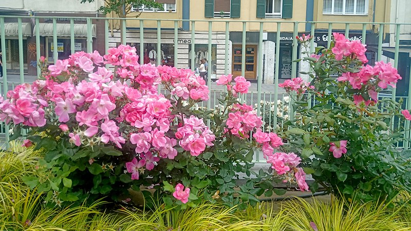 Udaltzaingoa | Maiatzaren 23eko Eguneroko Txostena