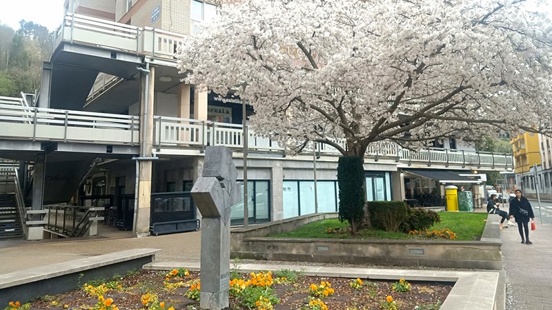 Udaltzaingoa | Martxoaren 11ko Eguneroko Txostena