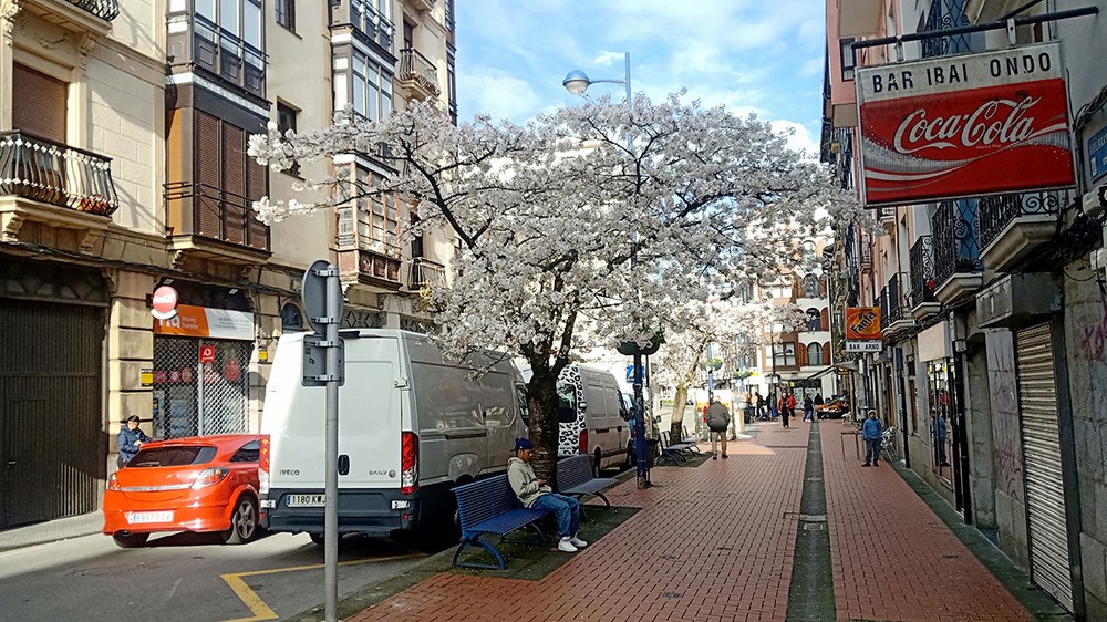 Udaltzaingoa | Martxoaren 19ko Eguneroko Txostena