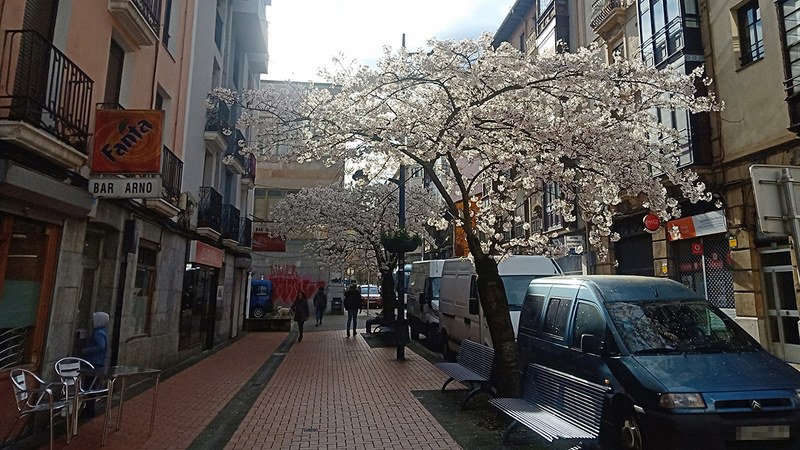 Udaltzaingoa | Martxoaren 26ko Eguneroko Txostena