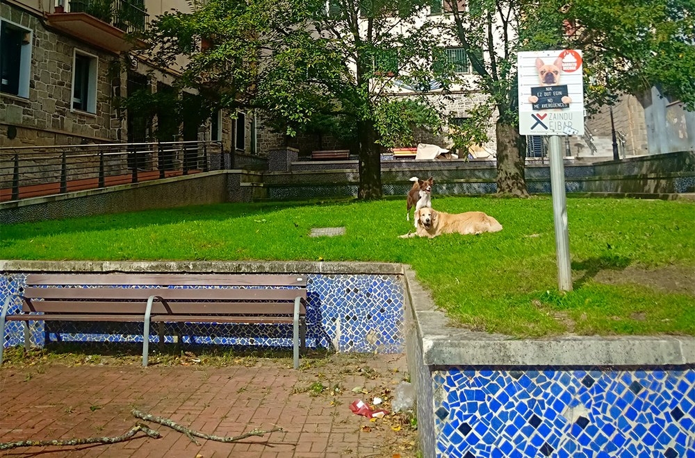 Udaltzaingoa | Urriaren 14ko Eguneroko Txostena