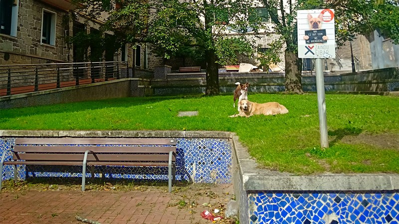 Udaltzaingoa | Urriaren 14ko Eguneroko Txostena