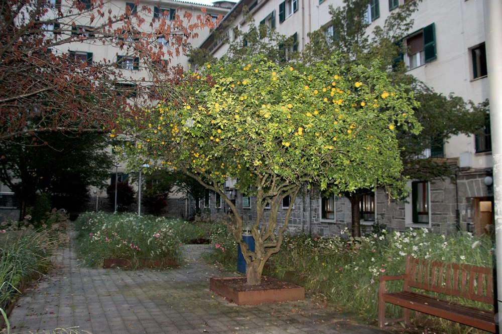 Udaltzaingoa | Urriaren 1eko Eguneroko Txostena