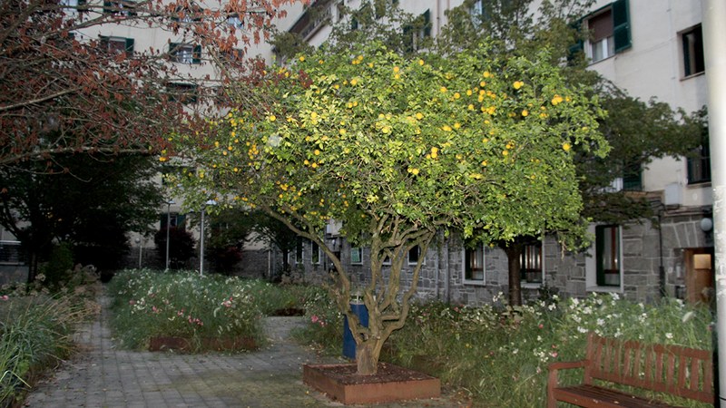 Udaltzaingoa | Urriaren 1eko Eguneroko Txostena