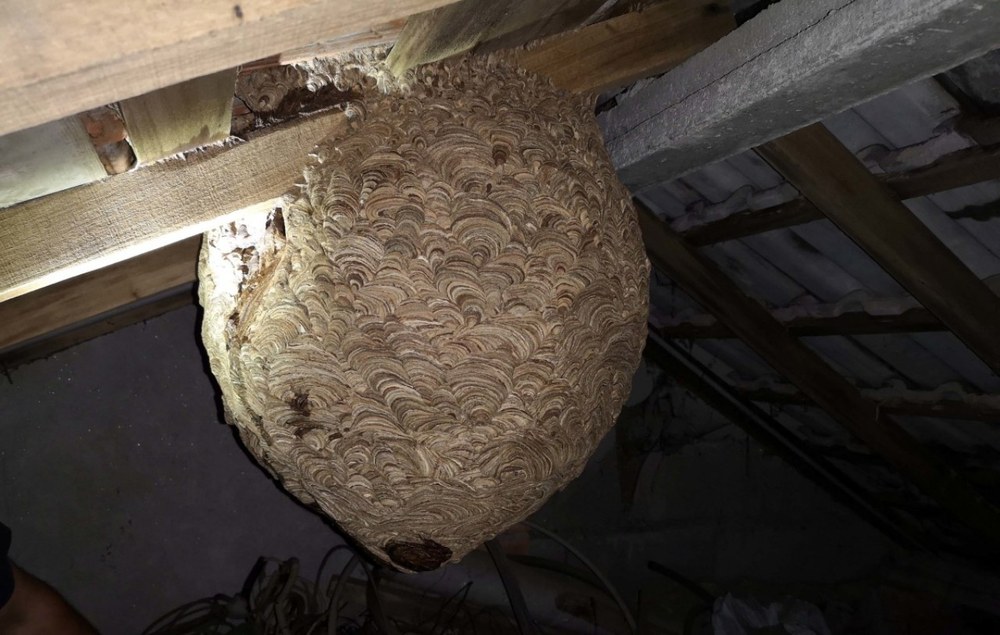 Udaltzaingoa | Uztailaren 23ko Eguneroko Txostena