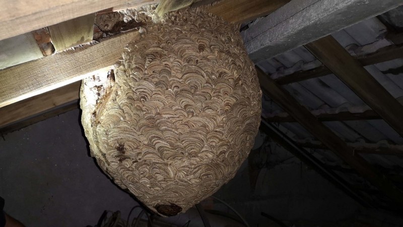 Udaltzaingoa | Uztailaren 23ko Eguneroko Txostena