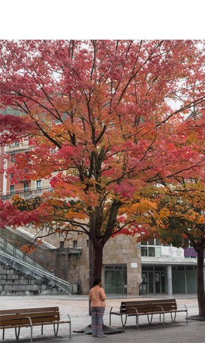 "Udazkena Untzaga plazan" (Pedro Arriola)