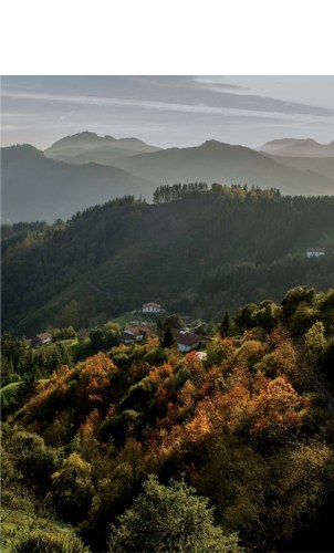 "Udazkenean, Krabelinetik begiratuta" (Fernando Retolaza)