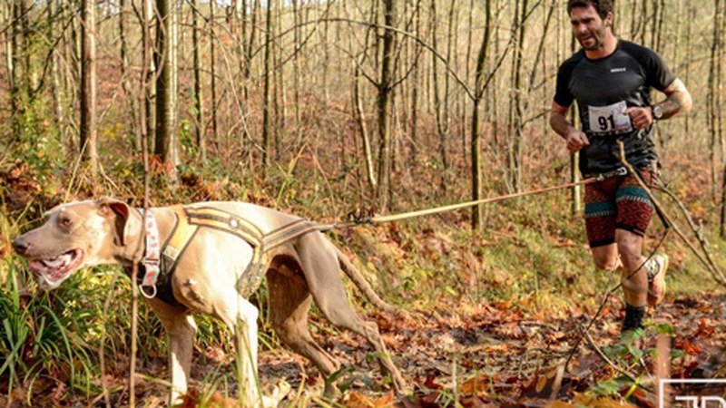 Unai Fernandez eibartarrak Zumaiako txakurkrosean debutatuko du
