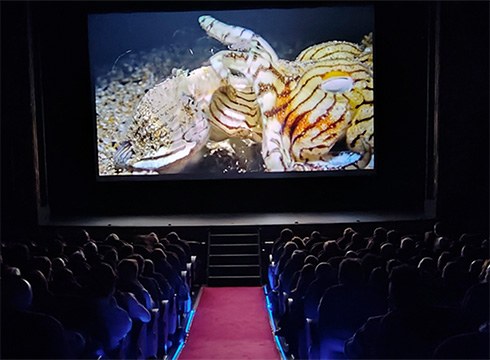 Ur azpiko irudirik ikusgarrienak emango dituzte gaur 19:00etan Coliseon