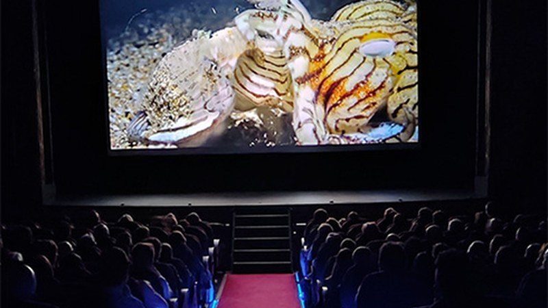 Ur azpiko irudirik ikusgarrienak emango dituzte gaur 19:00etan Coliseon