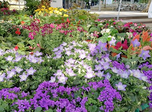 Urkizuko parkeak XI. Lore, Landare eta Zuhaitz Azoka hartuko du zapatu goizean