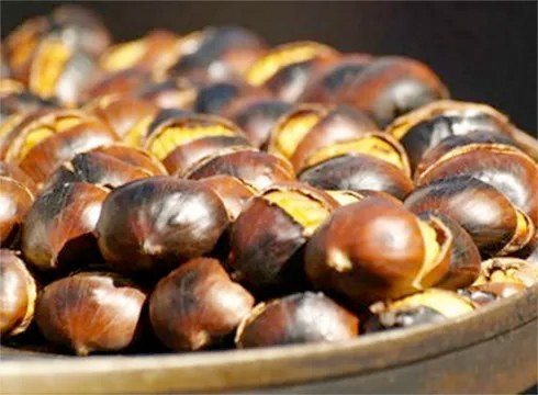 Urkizun egingo dituzte Gaztaiñerreko kalejira eta ondra-janak gaur AEK Euskaltegikoek