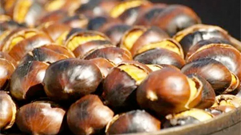 Urkizun egingo dituzte Gaztaiñerreko kalejira eta ondra-janak gaur AEK Euskaltegikoek