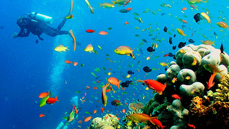 Urpekaritza ikastaroak maiatzean Klub Deportiboarekin