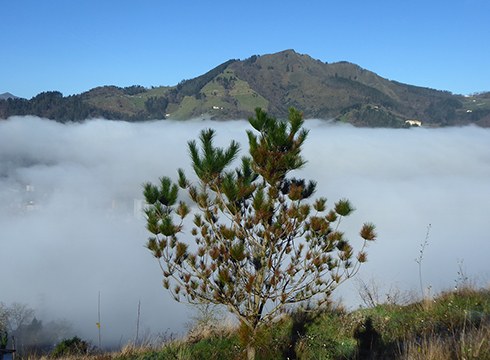 Urte berriari ongi etorria Urko puntan emateko irteera antolatu dute Klub Deportibokoek