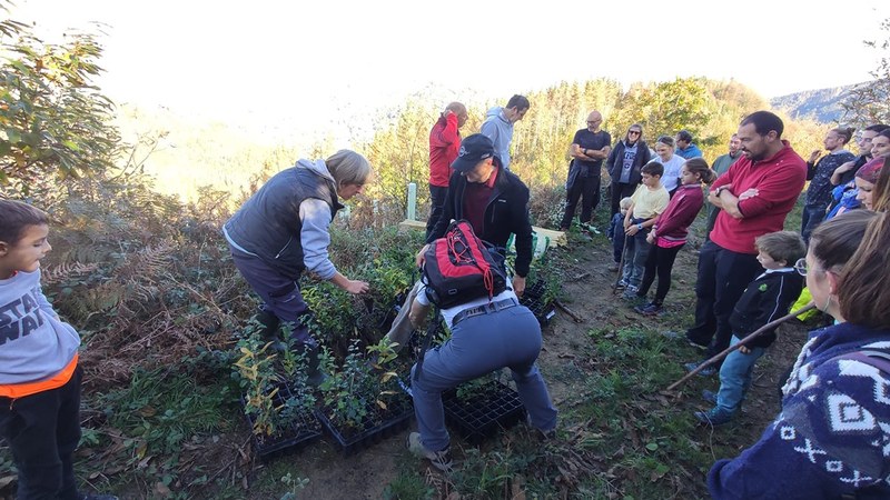 Urteko azken zuhaitz landaketa egingo dute domekan Sorginbason