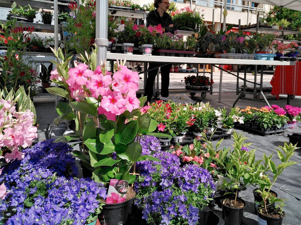 XIV. Lore, Landare eta Zuhaitzen Azoka egingo da zapatu goizean Urkizun