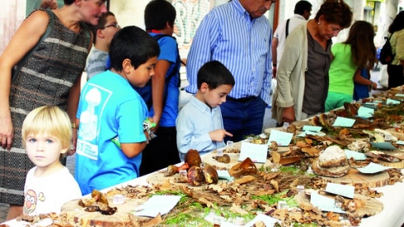 XVII. Jardunaldi Mikologikoak egingo dira asteburu honetan