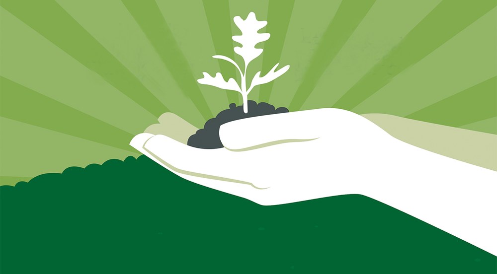 Zapatuan egitekoa zen Zuhaitz Eguna apirilaren 6ra atzeratzea erabaki dute, eguraldi-iragarpenen ondorioz