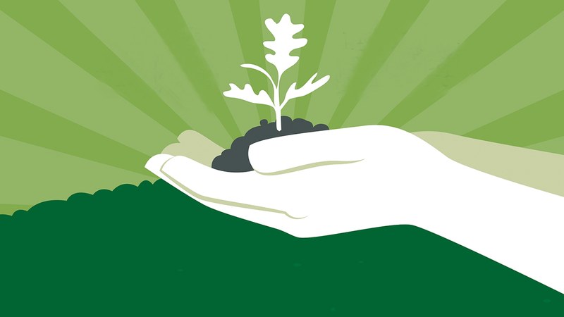 Zapatuan egitekoa zen Zuhaitz Eguna apirilaren 6ra atzeratzea erabaki dute, eguraldi-iragarpenen ondorioz