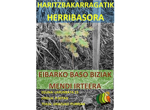 Zapaturako mendi irteera antolatu du Eibarko Baso Biziak elkarteak