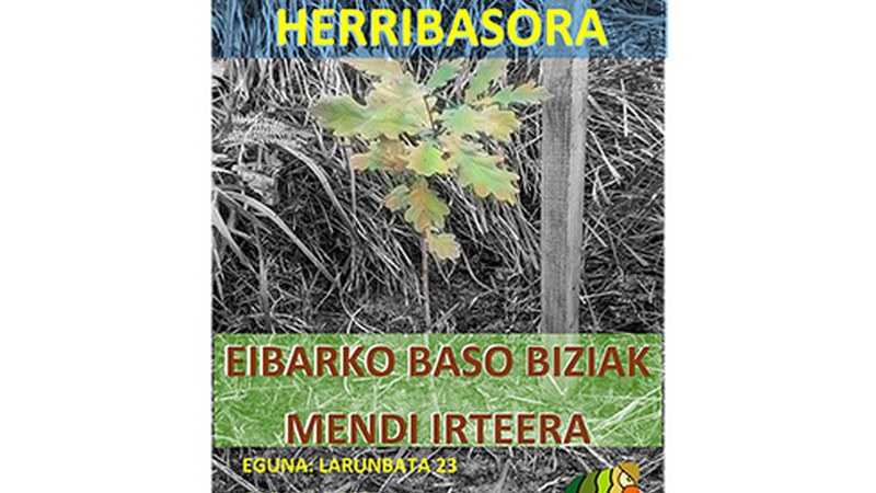 Zapaturako mendi irteera antolatu du Eibarko Baso Biziak elkarteak