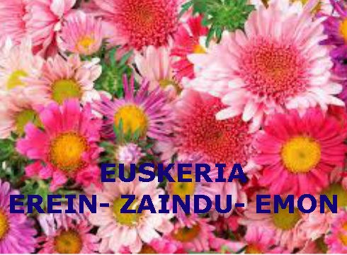 ZATOZ EUSKARAREN LORATEGIA OSATZERA