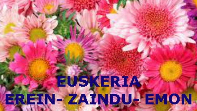 ZATOZ EUSKARAREN LORATEGIA OSATZERA