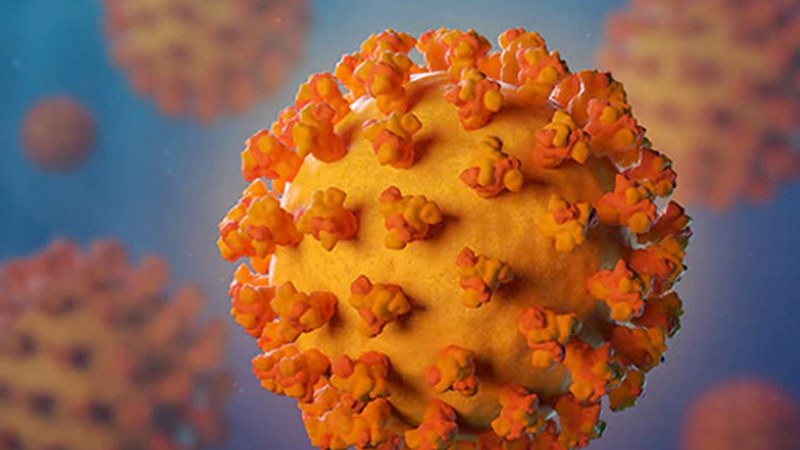 Zazpi koronabirus kasu berri atzeman dituzte asteburuan Eibarren