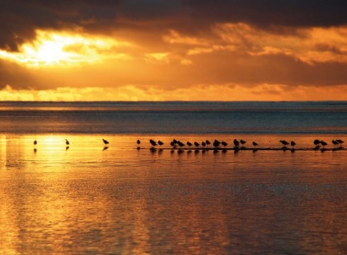 Zeelanda Berriari buruzko proiekzioa Periko Iriondoren eskutik
