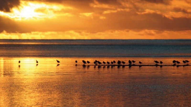 Zeelanda Berriari buruzko proiekzioa Periko Iriondoren eskutik