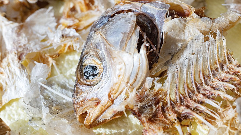 Zerbitzuaren lehen sei hilabeteetan 13.280 kilo hondakin bildu dituzte arrandegietan