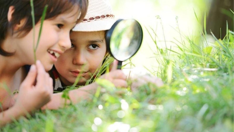 Zientzia tailerrak egingo dira gaur, Errebalen