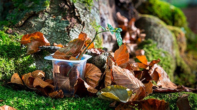 Zigor Astigarragak irabazi du Egoaiziaren II. Argazki Lehiaketa