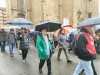 Zortzi urteko borroka ospatzeko manifestazioa egin dute pentsiodunek