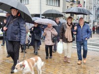 Zortzi urteko borroka ospatzeko manifestazioa egin dute pentsiodunek