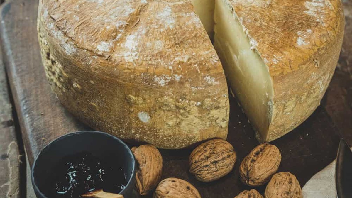 Zuberoako Azkorria gaztaren inguruko hitzaldi-dastaketa Basagunean Zuberoako Azkorria gaztaren inguruko hitzaldi-dastaketa Basagunean