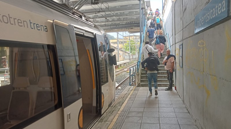 Zuhaitz bat erori da Unibertsitatea eta Ermua tren-geltokien artean eta zerbitzua eten dute