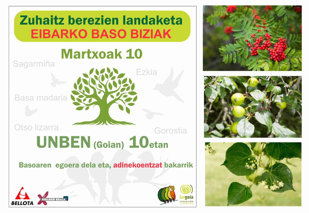 Zuhaitz berezien landaketa egingo du bihar, domeka, Eibarko Baso Biziak elkarteak