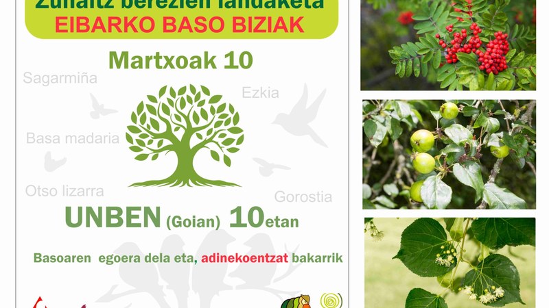 Zuhaitz berezien landaketa egingo du bihar, domeka, Eibarko Baso Biziak elkarteak