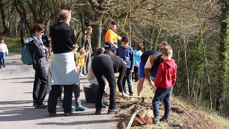 Zuhaitz Eguna (2020)