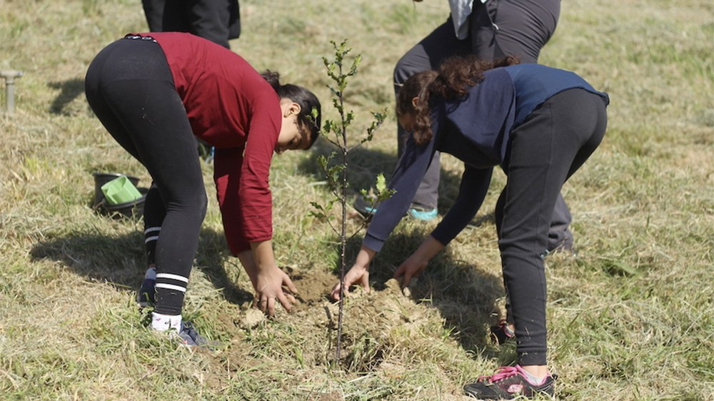 Zuhaitz Eguna astebete atzeratu eta martxoaren 15ean izango da