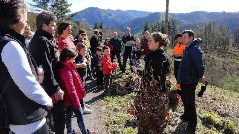 Zuhaitz Eguna igandean egingo da Pagaegikortako udal lursailean